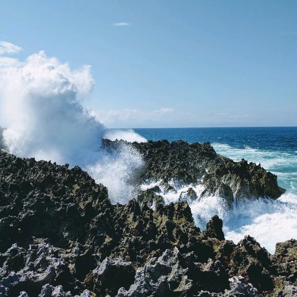 Meet your Posher, Sara - Picture 1 of 1